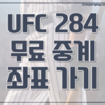 UFC 284 중계